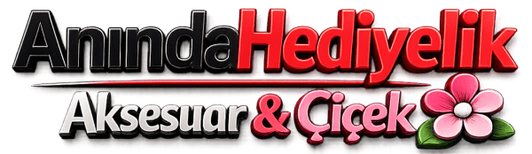 Anında Aksesuar logo